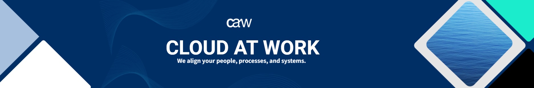 caw mauritius consulting firm